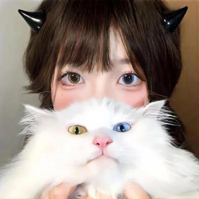 马里布高中